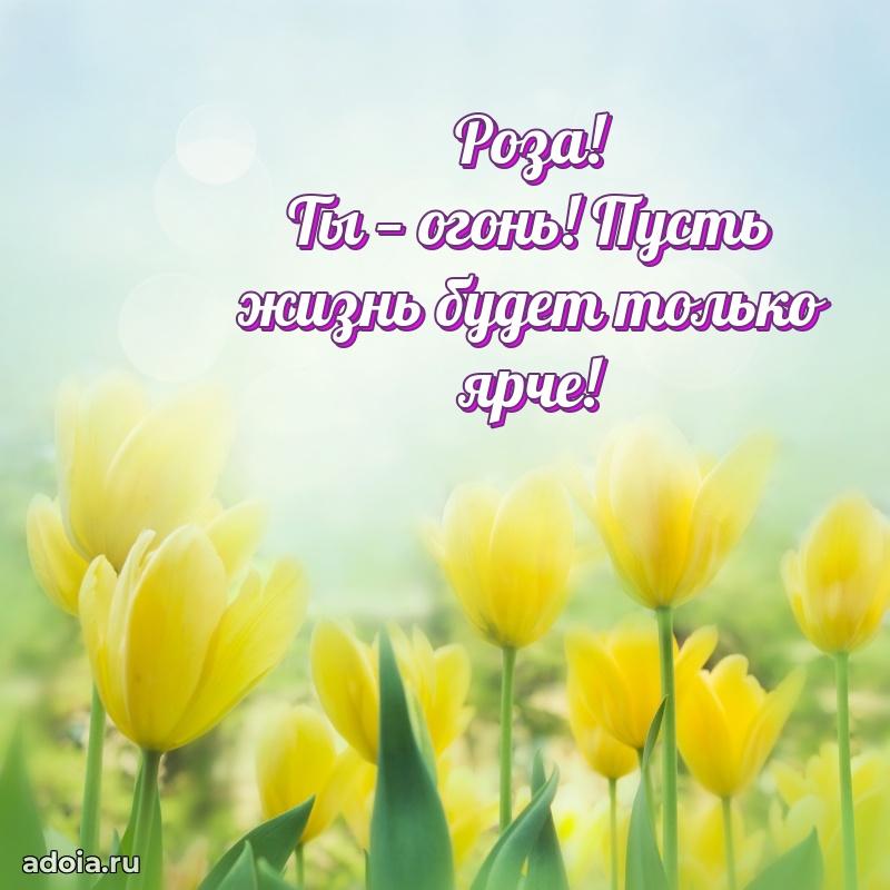 Поздравление с днем рождения девушке