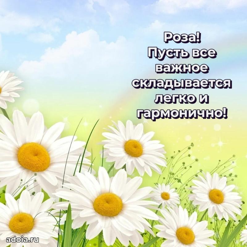 Пожелания маме Розе