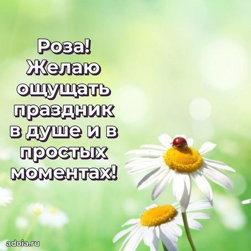 Открытка с пожеланиями Розе для ватсапа