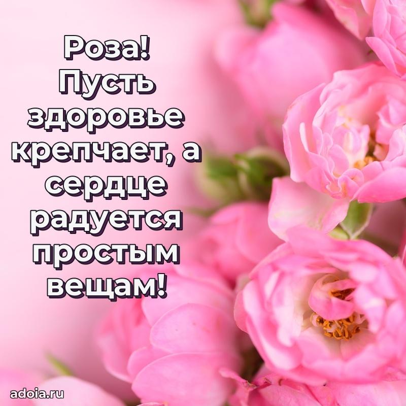 Смешная открытка для ватсап с днем рождения Розе