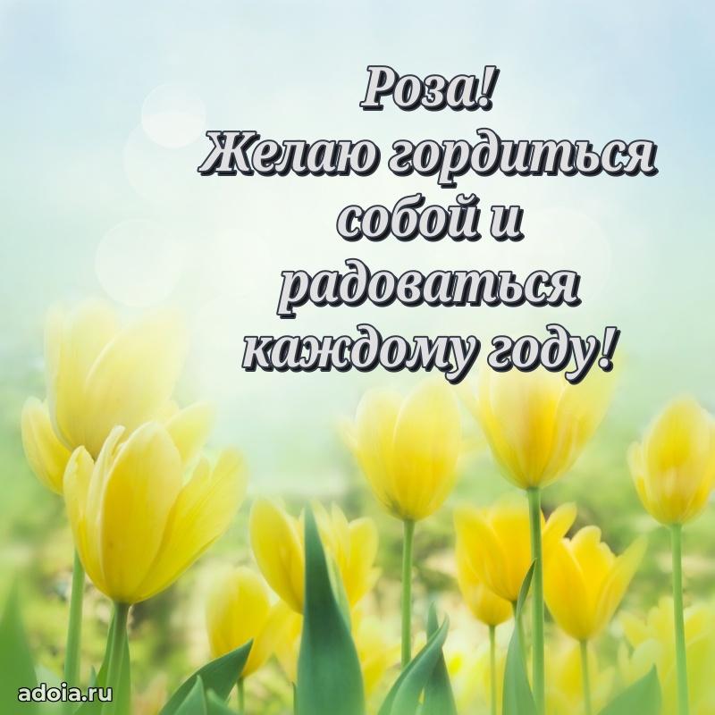Новые открытки с днем рождения праздничные Розе