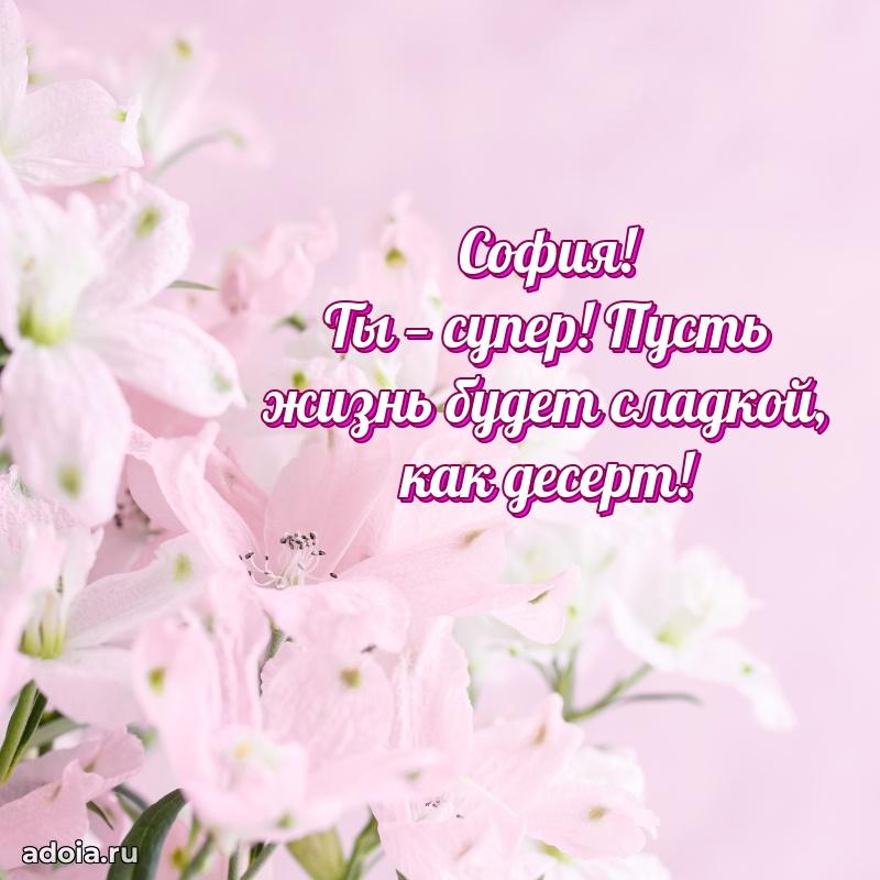 Новые открытки с днем рождения праздничные Софии