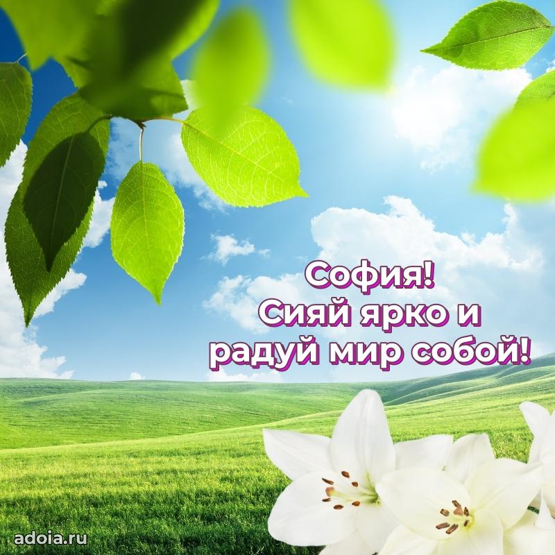 Поздравление Софии праздничные своими словами в прозе