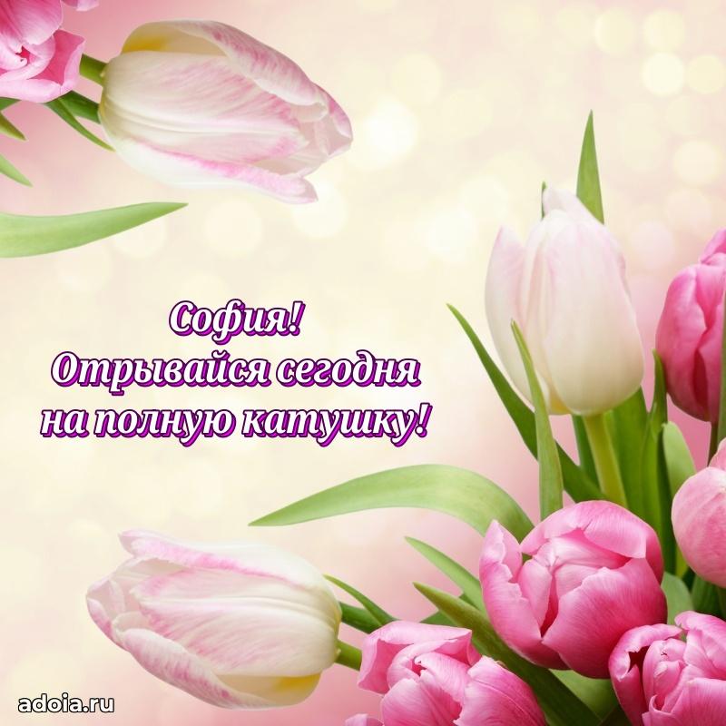 Поздравить подругу с др Софии