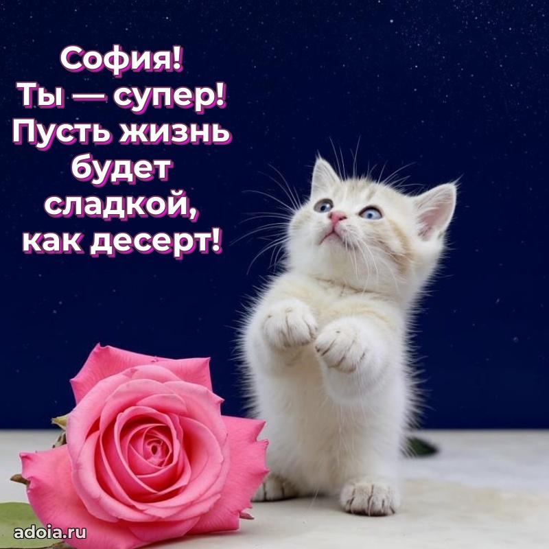 Картинка дочери Софии