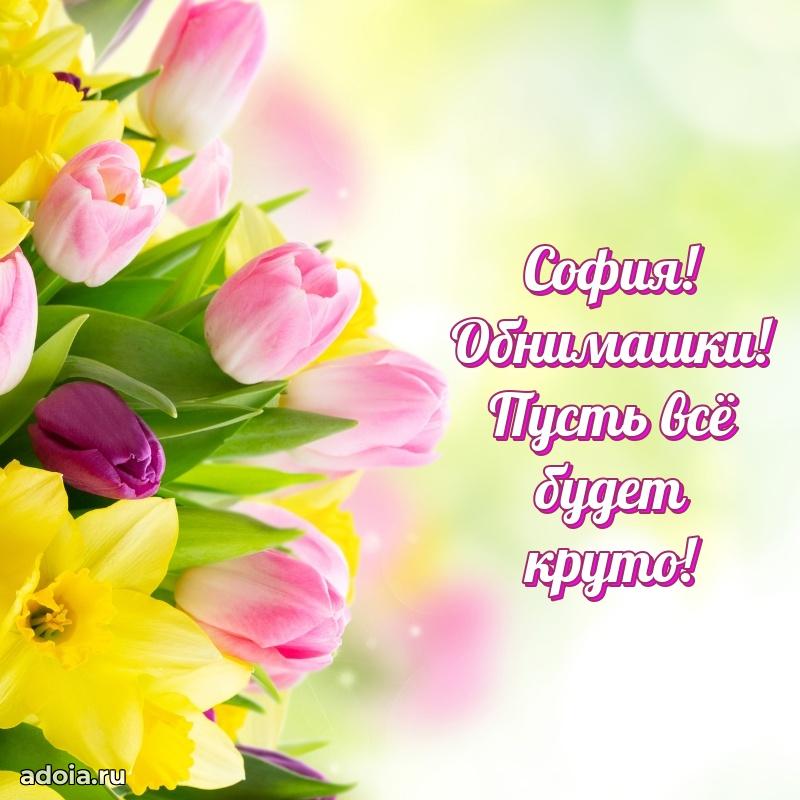 Яркая гифка Софии с днем рождения