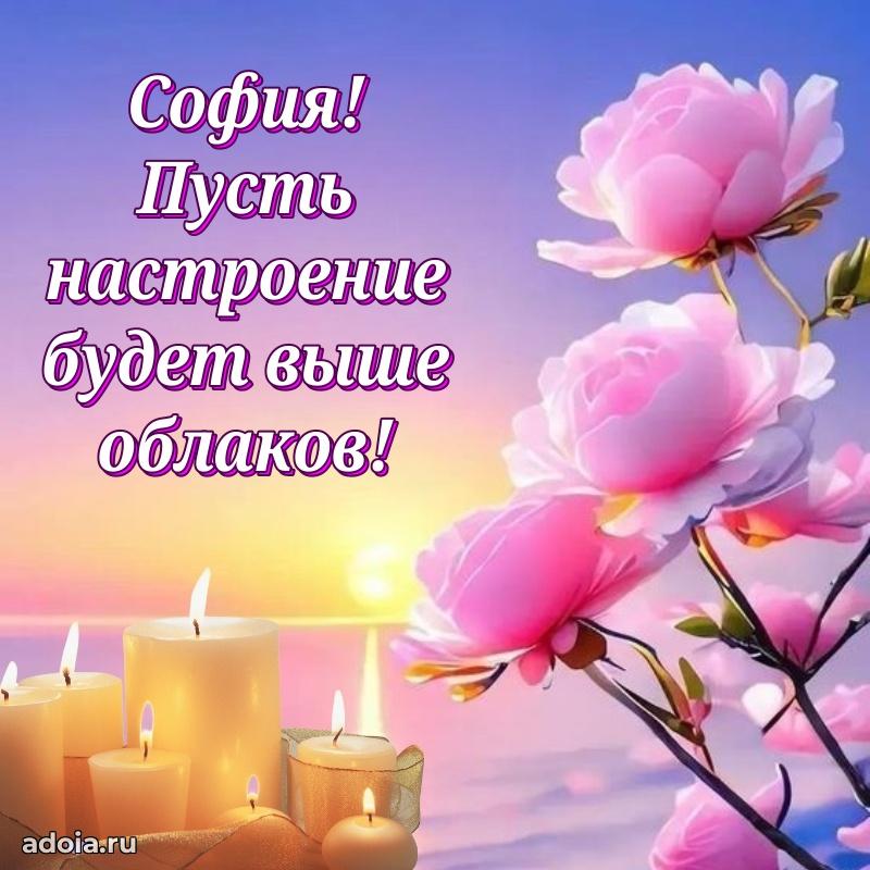 Пожелания маме Софии