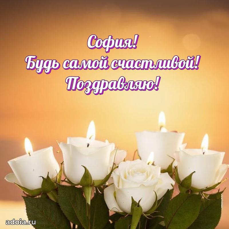 Открытка Софии праздничная