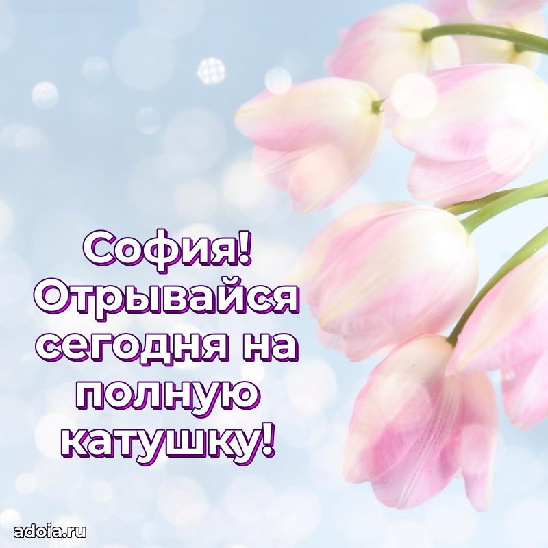 Открытка с пожеланиями Софии для ватсапа