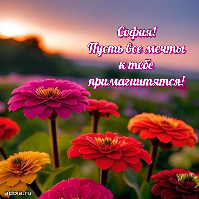 Поздравление с днем рождения сестре в стихах