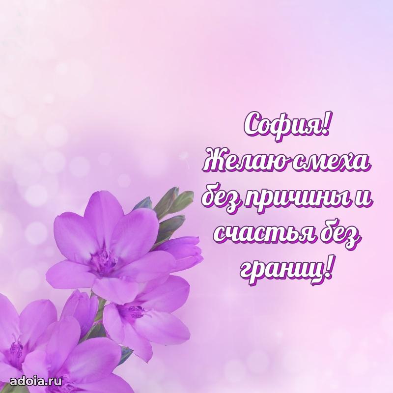 Поздравление женщине Софии