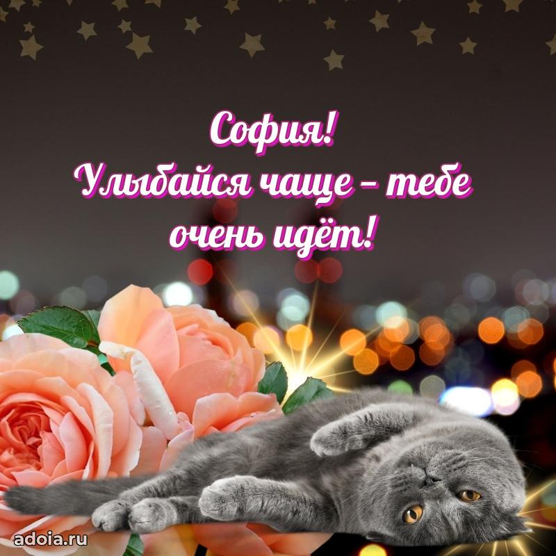 Яркая гифка Софии с днем рождения