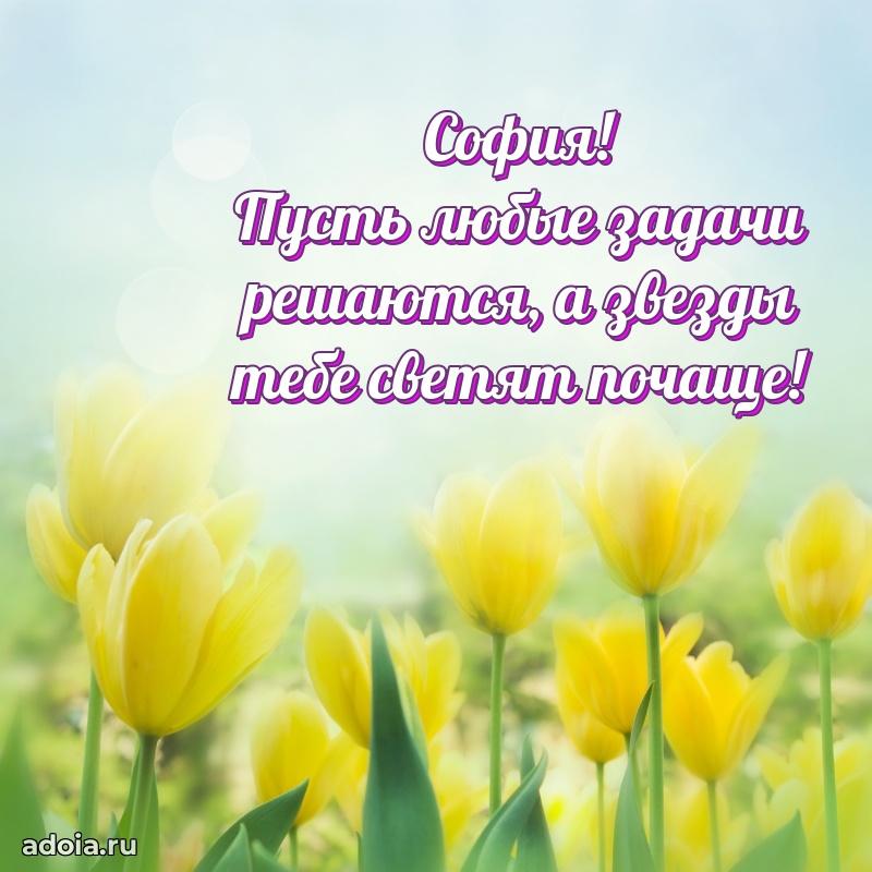 Пожелания маме Софии