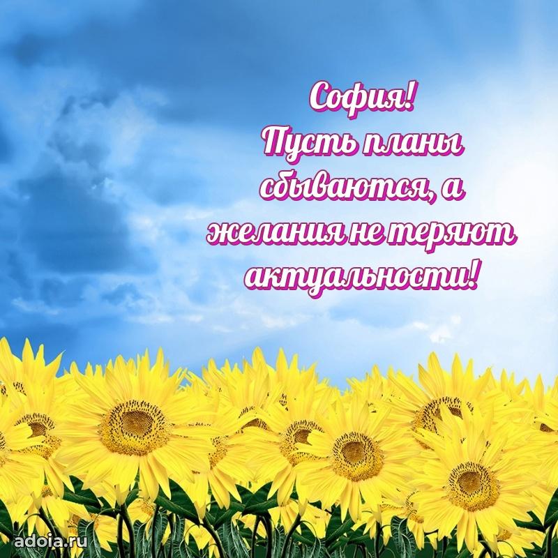 Поздравление Софии праздничные своими словами в прозе