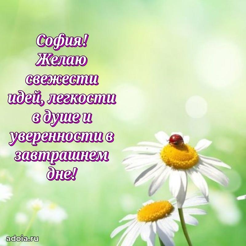 Современная открытка супруге