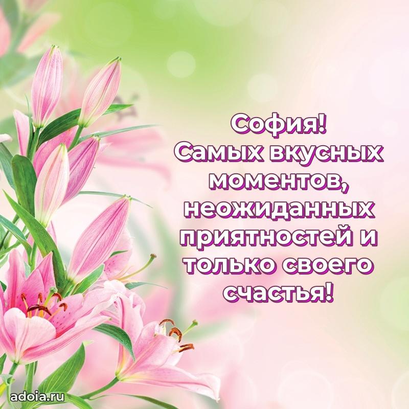 Пожелания маме Софии