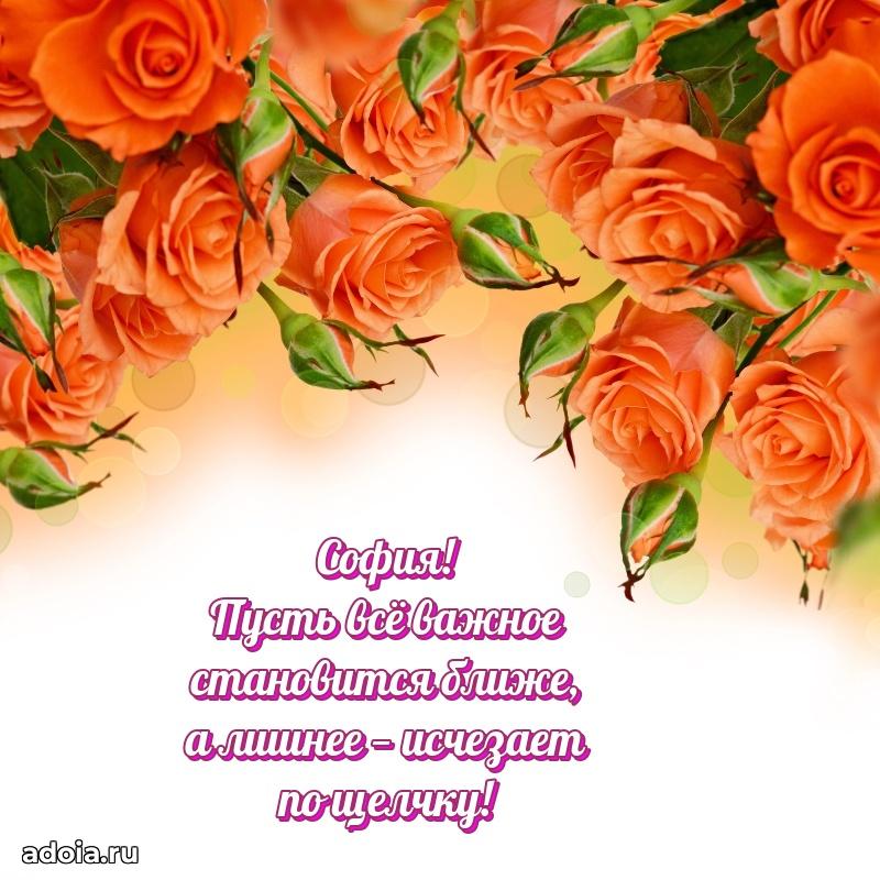 Новые открытки с днем рождения праздничные Софии