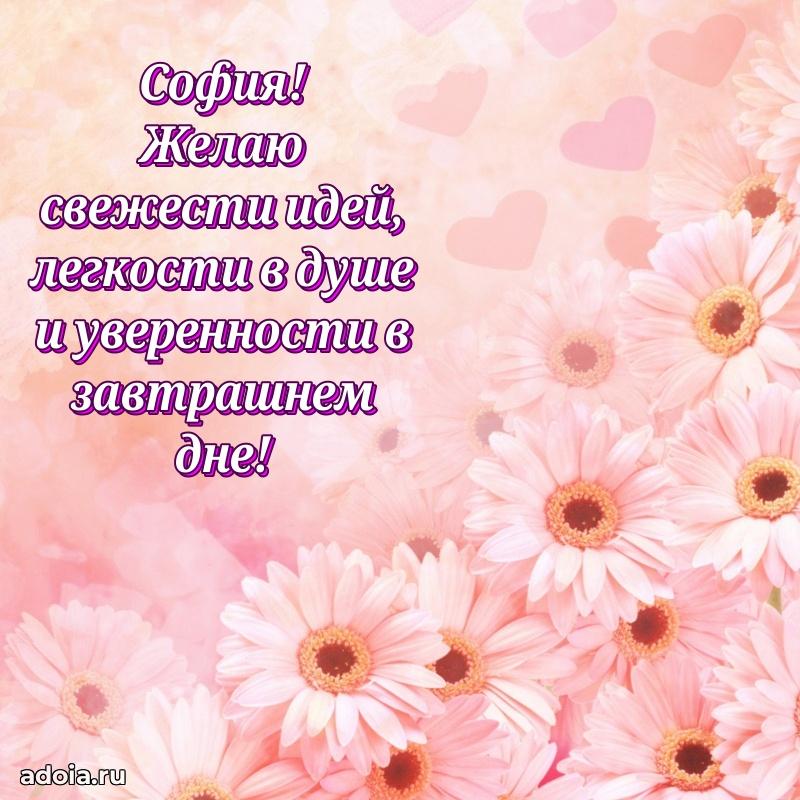 Поздравление женщине Софии