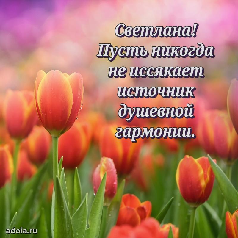 Открытка с пожеланиями Светлане для ватсапа