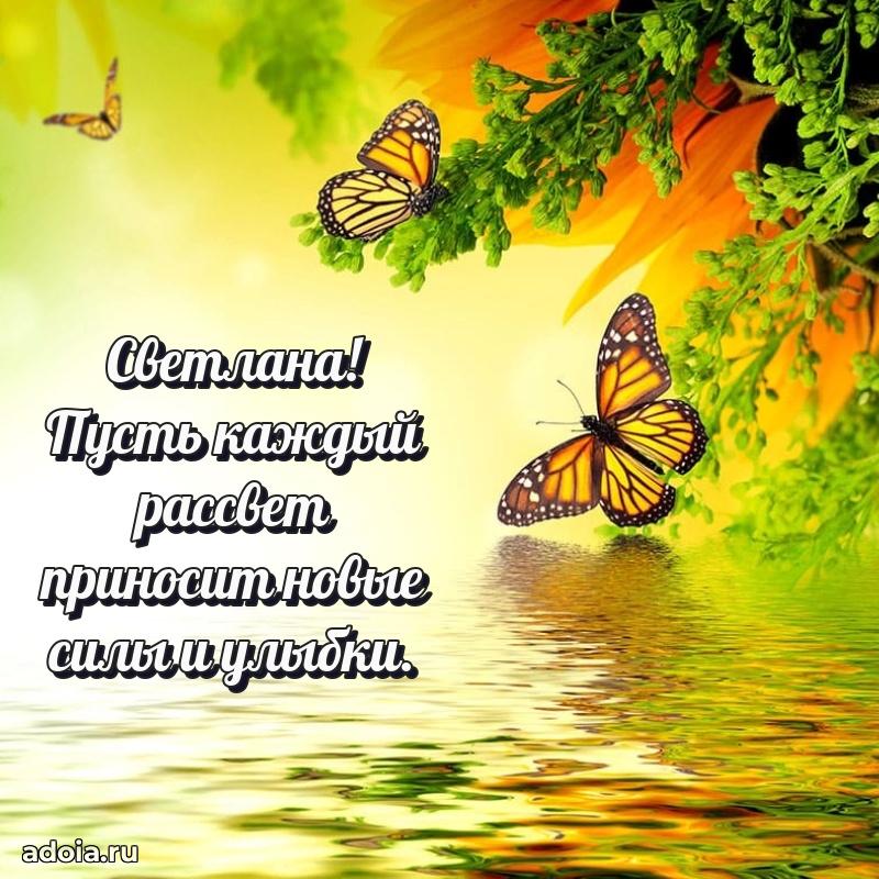 Открытка для ватсап с днем рождения Светлане