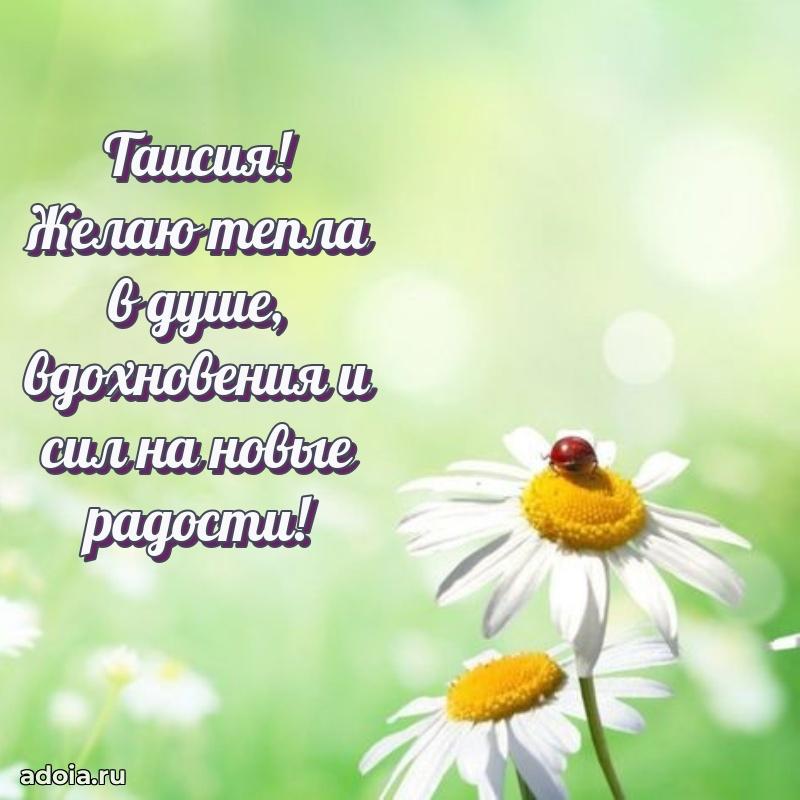 Открытка Таисии праздничная