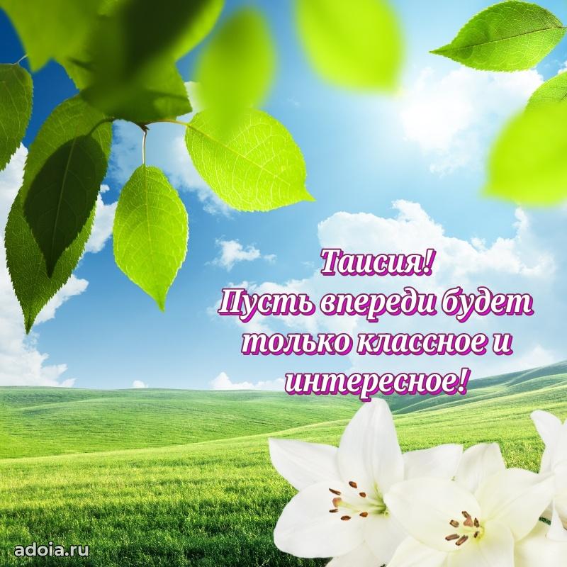Смешная открытка для ватсап с днем рождения Таисии