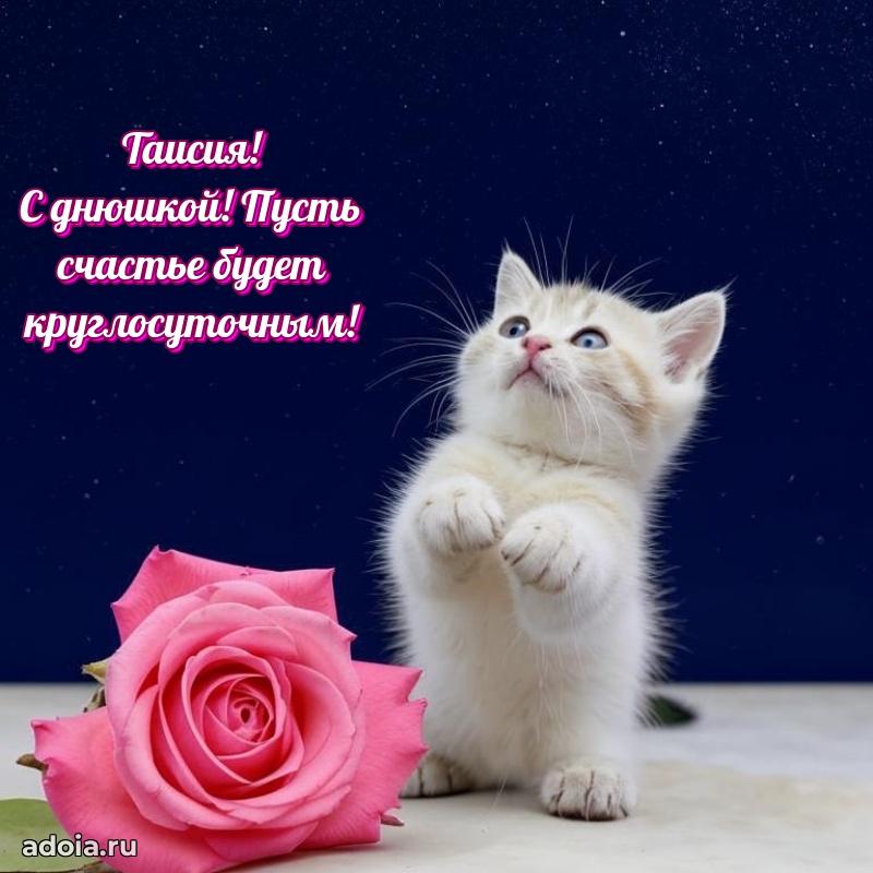 Яркая гифка Таисии с днем рождения