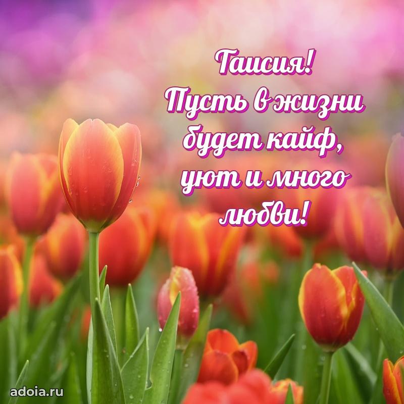 Яркая гифка Таисии с днем рождения