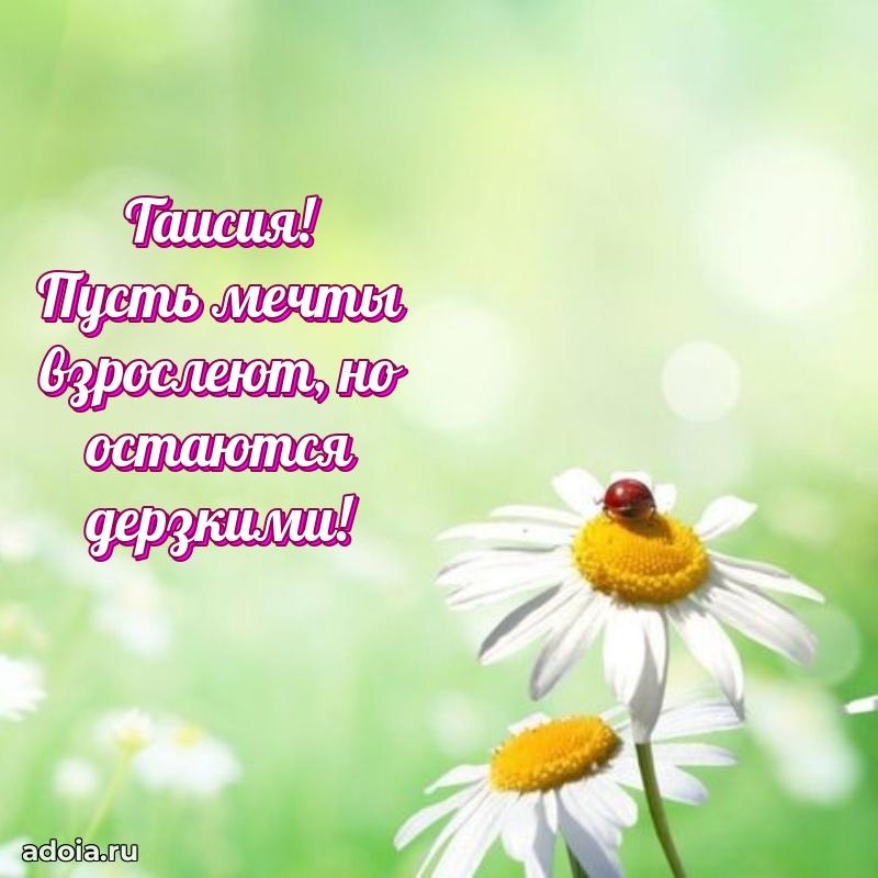 Смешная открытка для ватсап с днем рождения Таисии