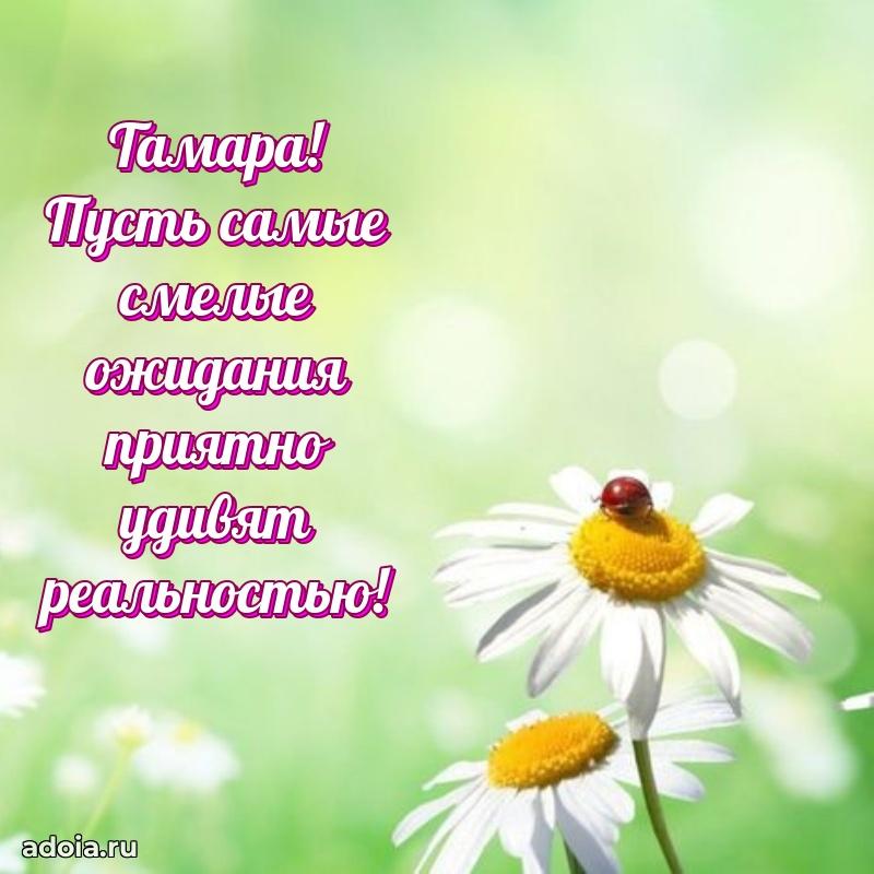 Поздравление Тамаре праздничные своими словами в прозе