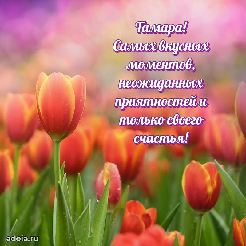 Поздравление с днем рождения сестре в стихах