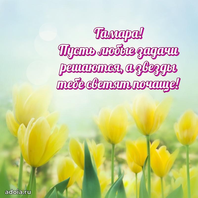 Смешная открытка для ватсап с днем рождения Тамаре
