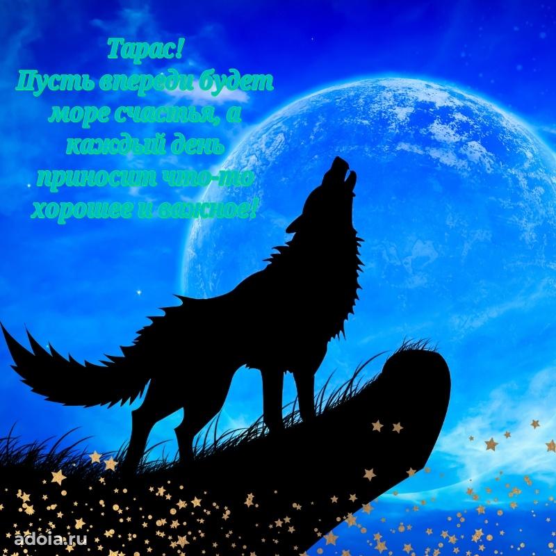 Картинка коллеге Тарасу