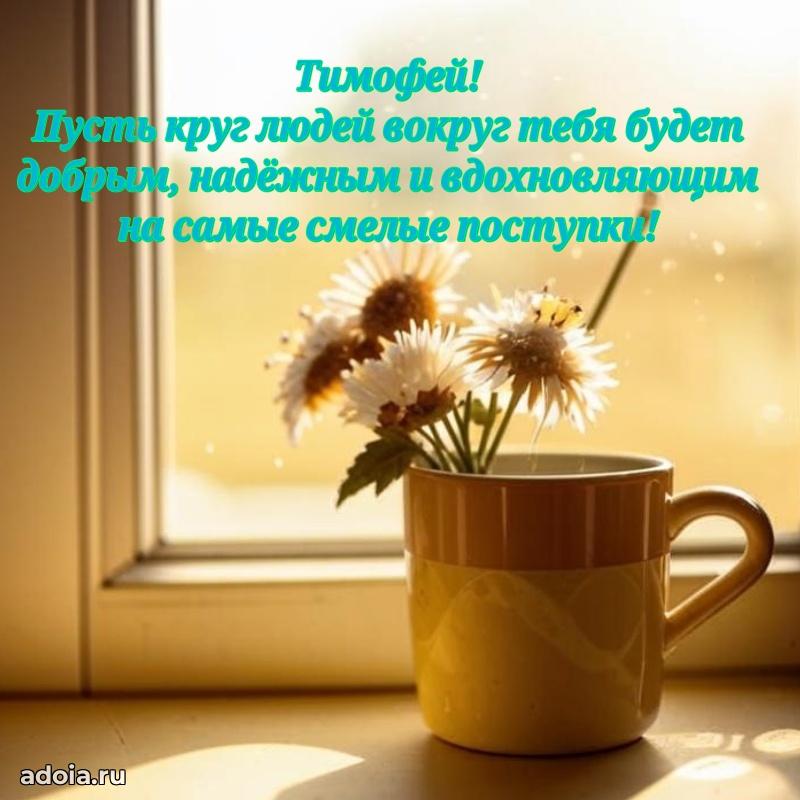 Поздравить друга с др Тимофею