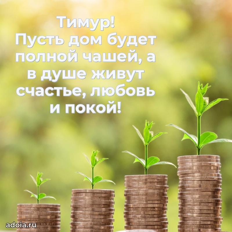 Открытка Тимуру праздничная