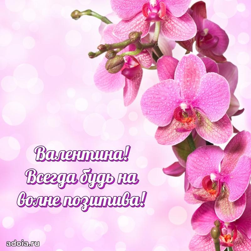 Яркая гифка Валентине с днем рождения