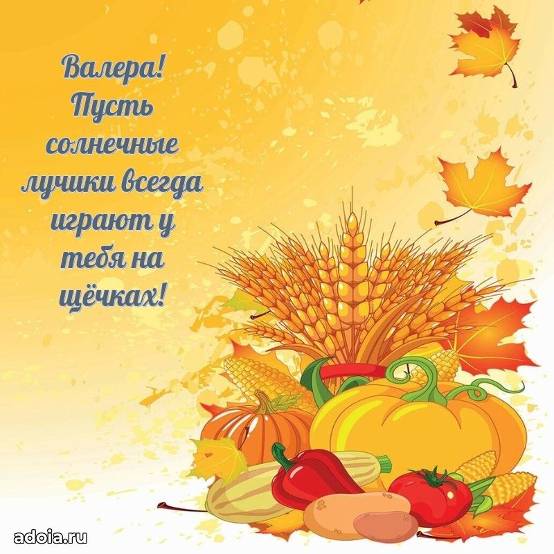 Поздравить племянника с др Валерию