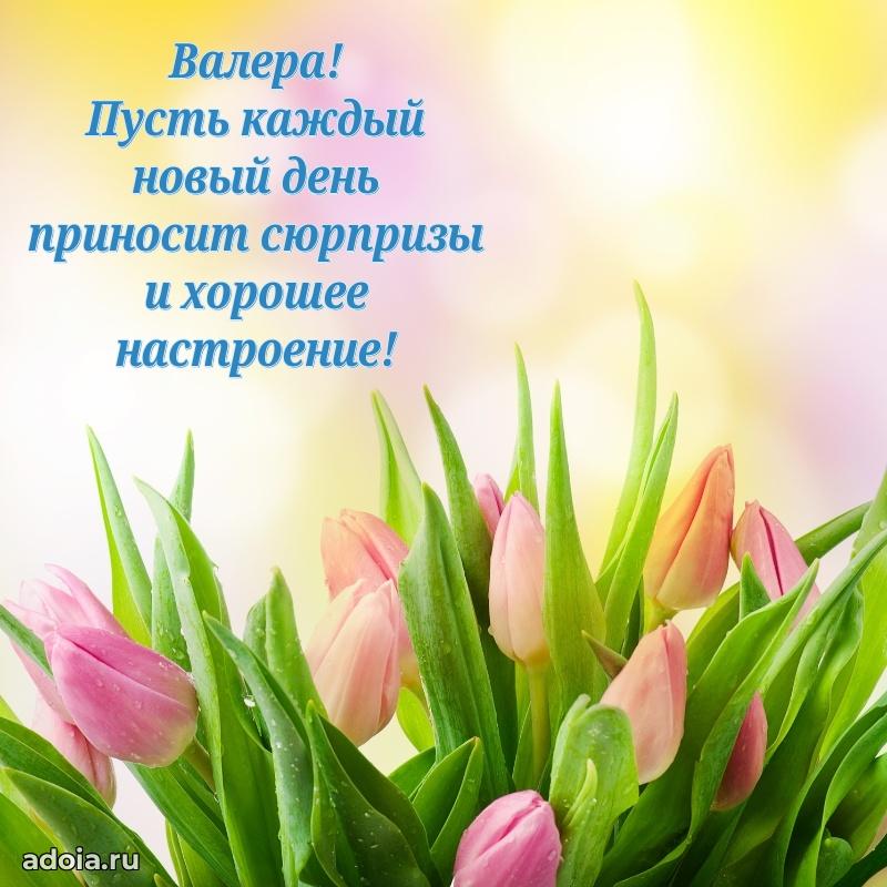 Современная открытка племяннику