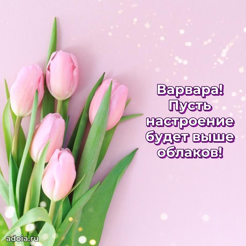 Поздравление Варваре праздничные своими словами в прозе