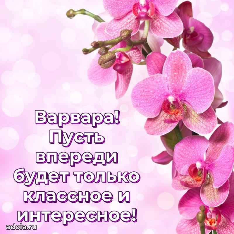 Поздравить подругу с др Варваре