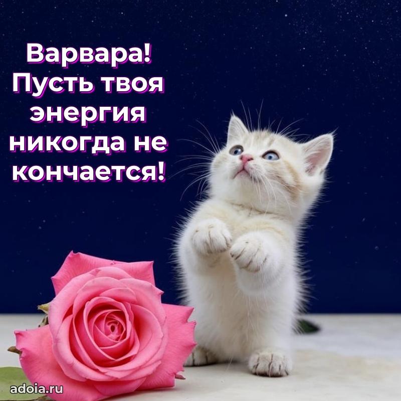 Поздравление Варваре праздничные своими словами в прозе