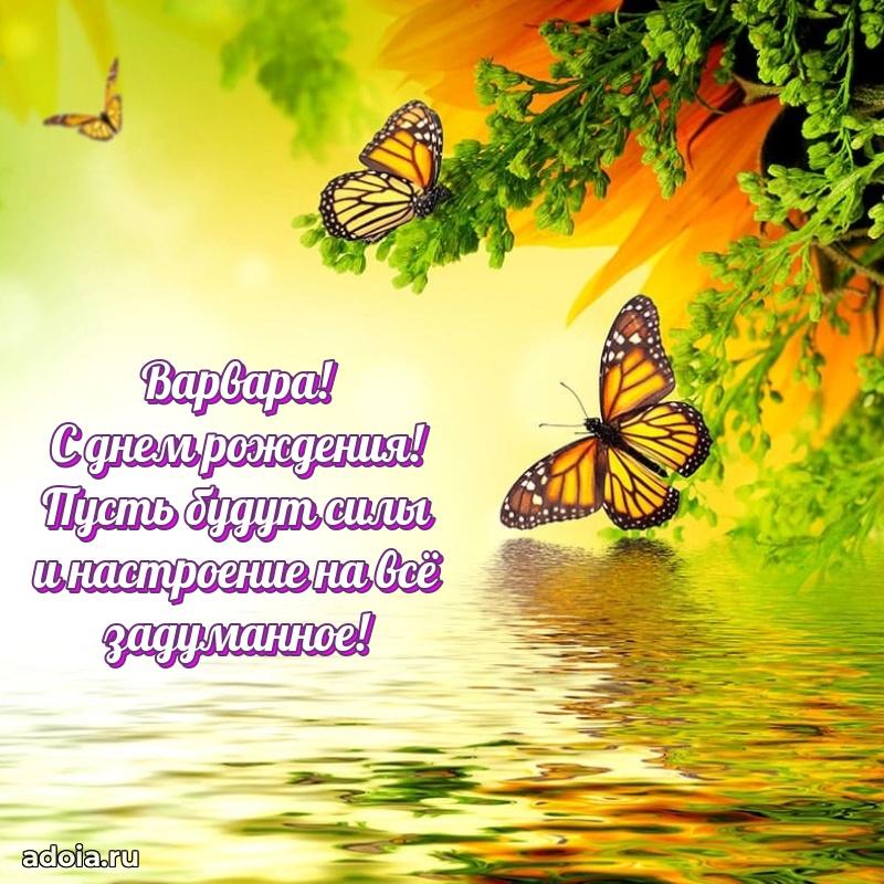 Смешная открытка для ватсап с днем рождения Варваре
