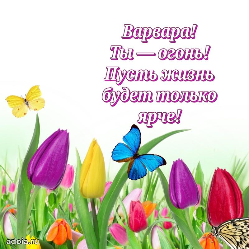 Поздравление Варваре праздничные своими словами в прозе