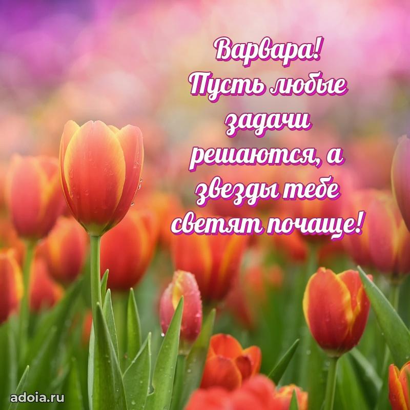 Открытка с пожеланиями Варваре для ватсапа