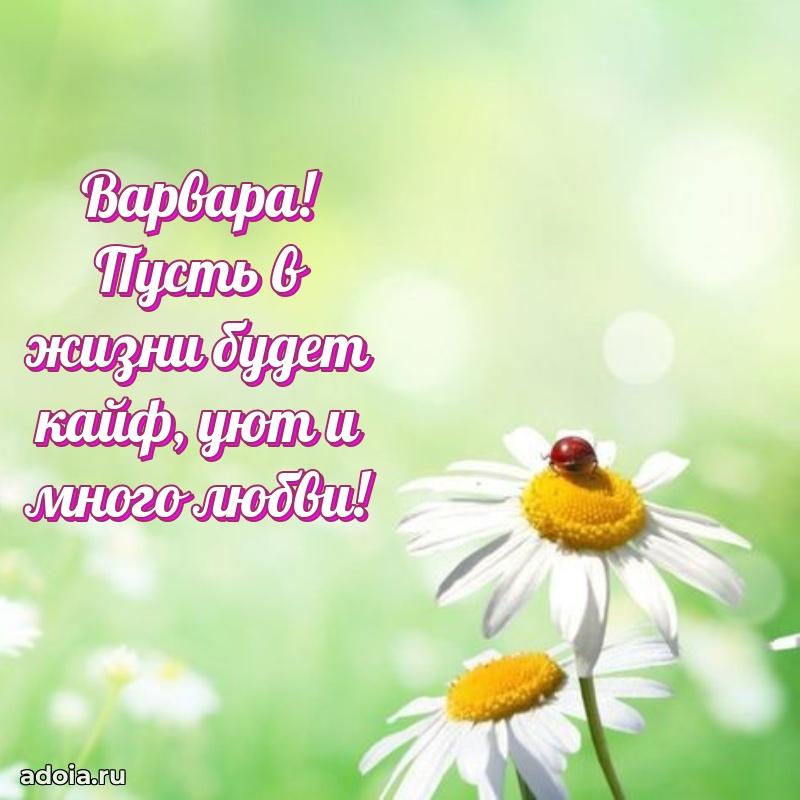 Картинка дочери Варваре