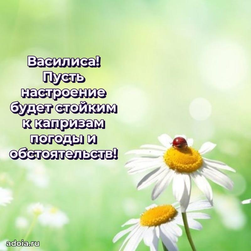 Пожелания маме Василисе