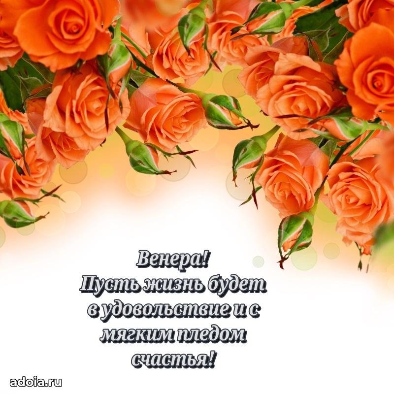 Картинка дочери Венере