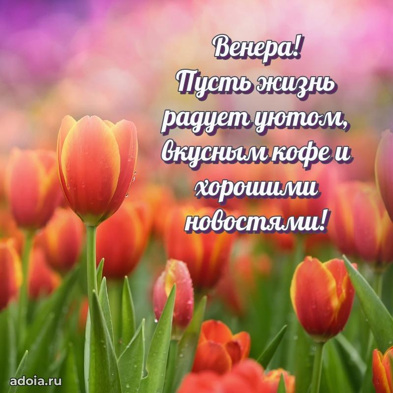 Пожелания маме Венере