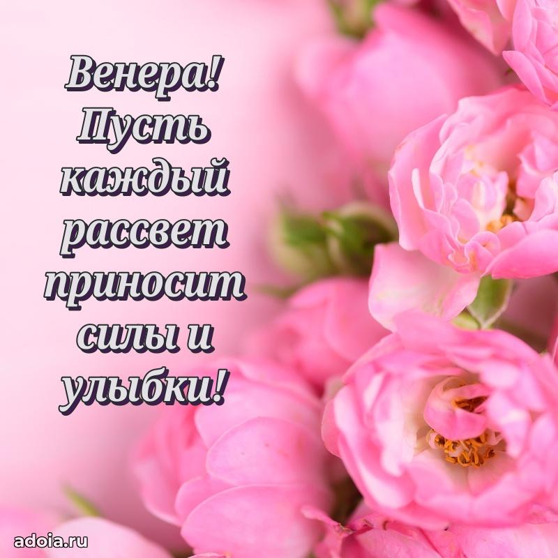Открытка с пожеланиями Венере для ватсапа