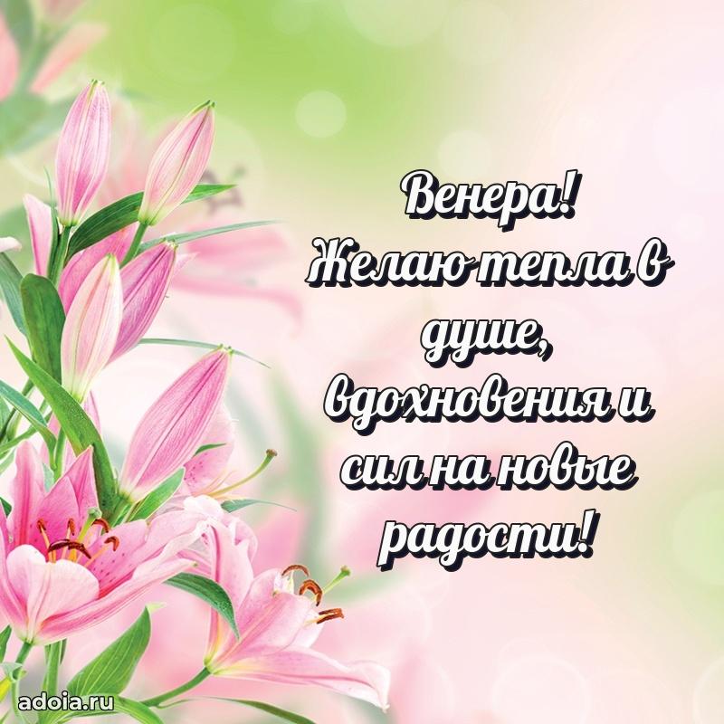 Поздравление женщине Венере